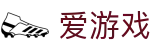 爱游戏（ayx）官方网站 - 官方服务平台